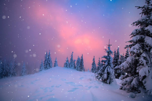 istock Christmas background with snowy fir trees. 1190029792