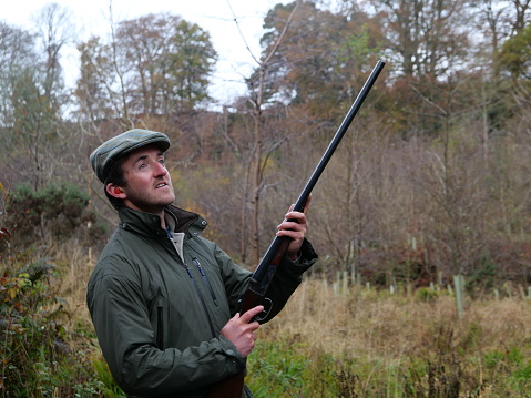 A young man with a beard standing in a woodland clearing, holding a loaded double barrelled shotgun, during a pheasant shoot in Midlothian in Scotland. The man is wearing a tweed cap and a green, waterproof jacket. He has orange ear defenders in his ears, to protect his hearing while shooting. His index finger is close to the shotgun in preparation for taking a shot. His attention is focused on what is about to pass close to him.