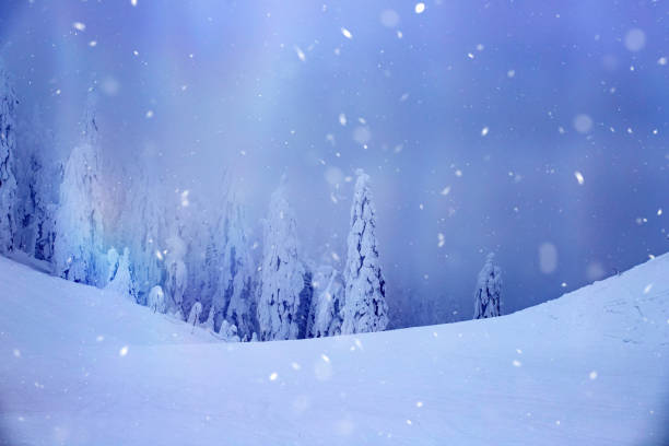 istock Christmas background with snowy fir trees. 1190030526