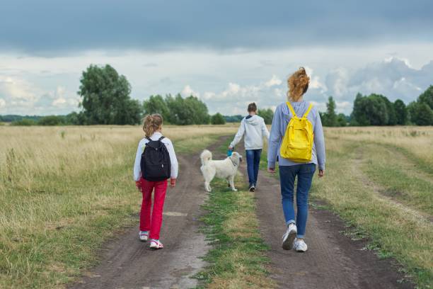 istock Active healthy lifestyle, children outdoors with dog 1190030768