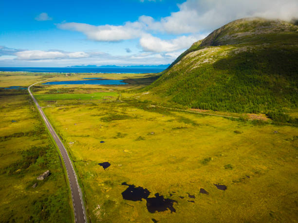 istock Gimsoya island landscape Lofoten Norway 1190035679