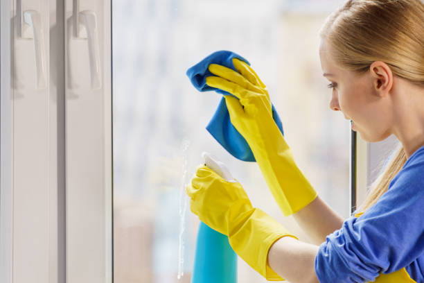 istock Woman cleaning window at home 1190036929