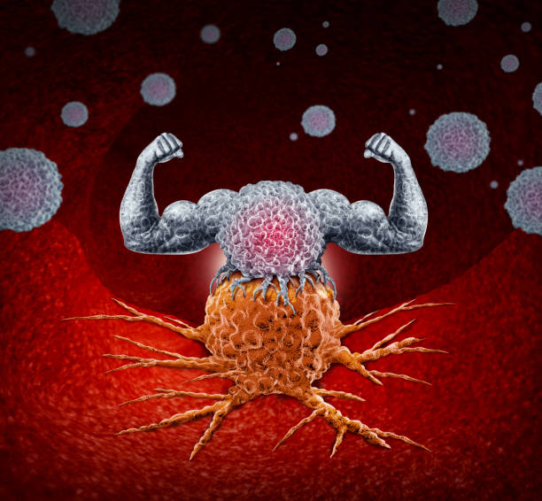 Immunology Immunology and immunotherapy as a human immune system therapy concept as a biomedical or biomedicine oncology treatment using the strong natural cancer fighting properties of the body with 3D illustration elements. t cell photos stock pictures, royalty-free photos & images