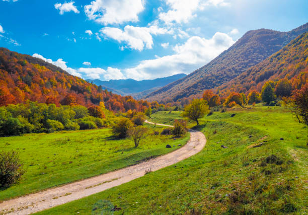 National Park of Abruzzo, Lazio and Molise (Italy) The autumn with foliage in the italian mountain natural reserve, with little towns, wild animals like deer, Barrea Lake, Camosciara, Forca d'Acero chamois animal photos stock pictures, royalty-free photos & images