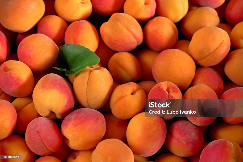 Heap of apricots with one green leaf, view from above Peach Stock Photo