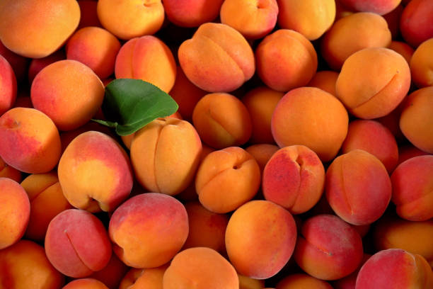 Heap of apricots with one green leaf, view from above stock photo