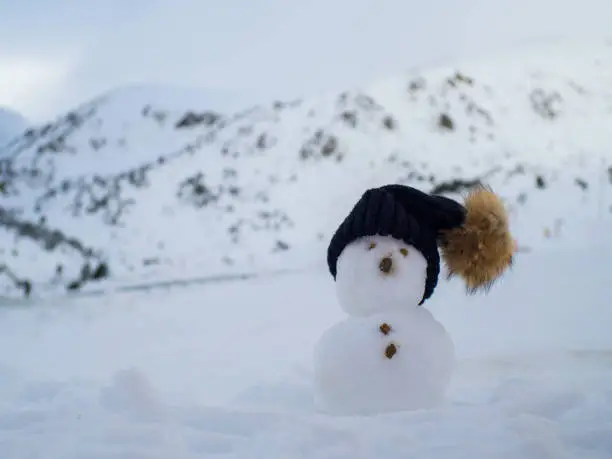 little snowman in nature in snowy and cold day in mountains