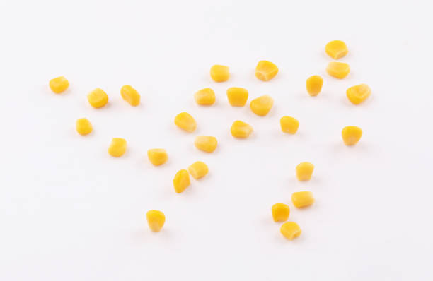 istock golden sweet Corn kernels seeds on white background 1190044631