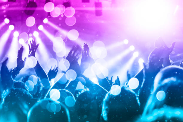 istock Music festival crowd 1190046695