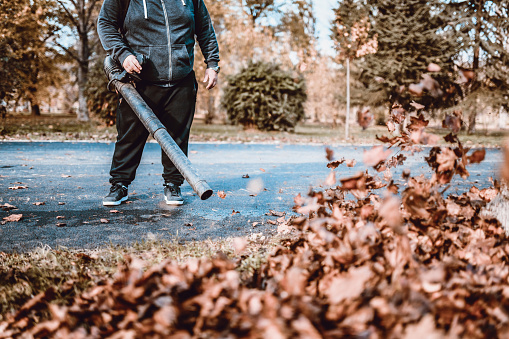 Autumn Leaf Cleaning In Park
