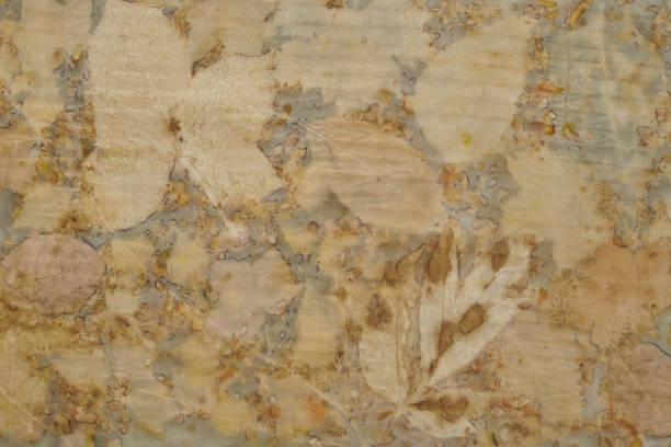 istock Fragment of hand-dyed fabric using eco-print technique 1190047068