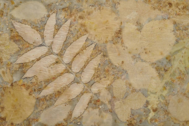istock Fragment of hand-dyed fabric using eco-print technique 1190047610