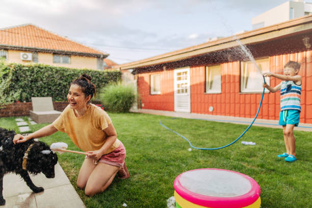 istock Summer day in our yard 1190047638