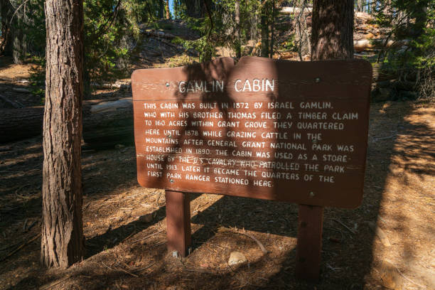 istock Gamlin Cabin at Kings Canyon National Park 1190052219
