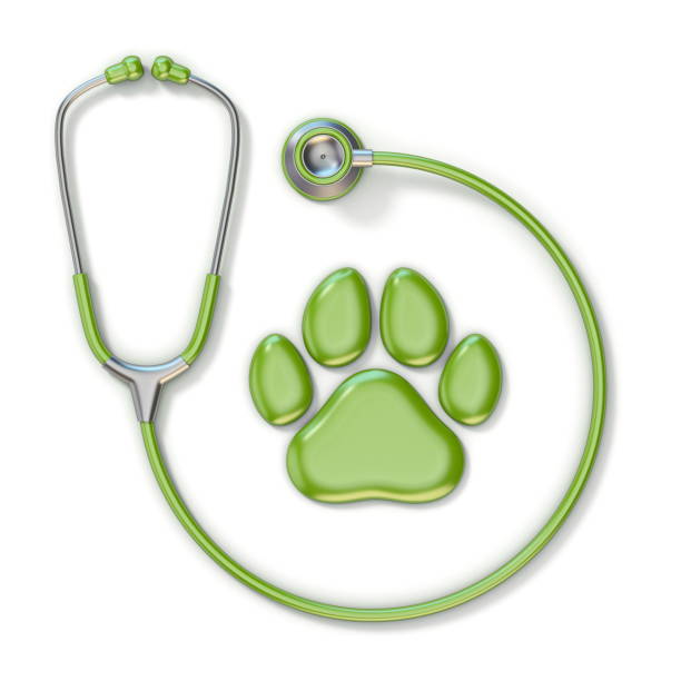 estetoscopio verde y pata 3d - vet domestic cat veterinary medicine stethoscope fotografías e imágenes de stock