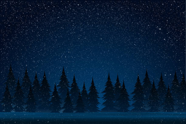 illustrazioni stock, clip art, cartoni animati e icone di tendenza di spruzzi bianchi su sfondo blu. foresta durante una tempesta di neve di notte. albero di natale. - dark sky