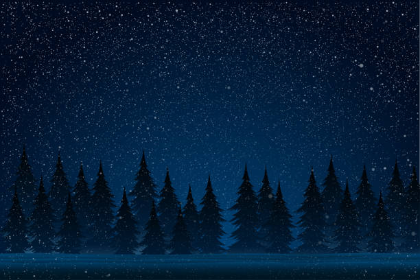 파란색 배경에 흰색 스플래시. 밤에   눈 폭풍 동안 숲. 크리스마스 트리입니다. - night sky stock illustrations
