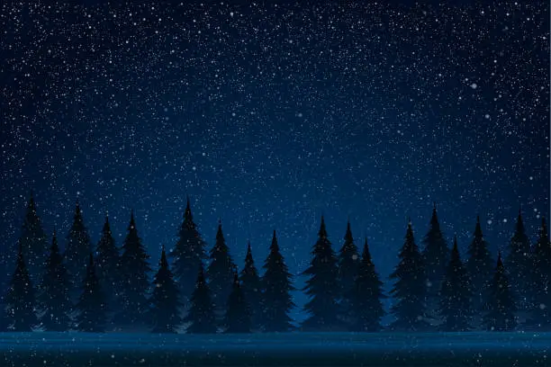 Vector illustration of White splash on blue background. Forest during a snow storm at night. Christmas tree.