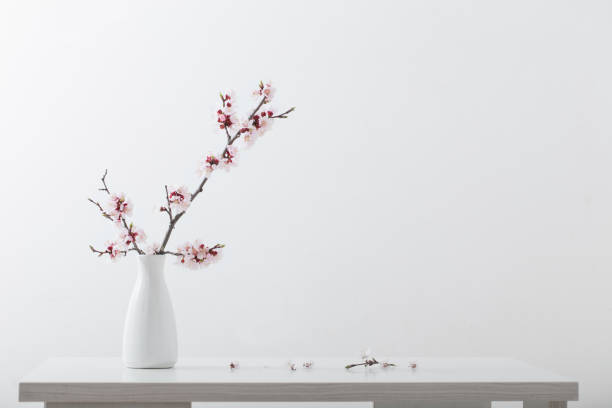istock flowering cherry branch in  vase on white background 1190059429