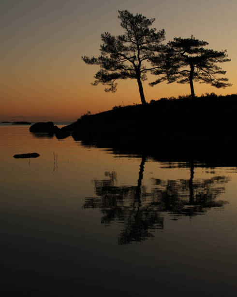istock Old trees reflecting in Lake Vanern, Sweden. 1190062526