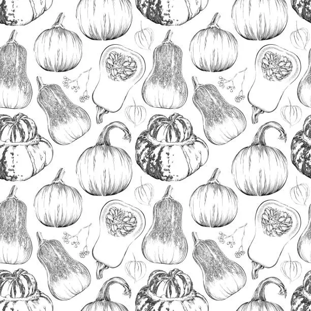 Vector illustration of Vector Seamless Pattern of Ink Drawings of Fall Pumpkins and Squash