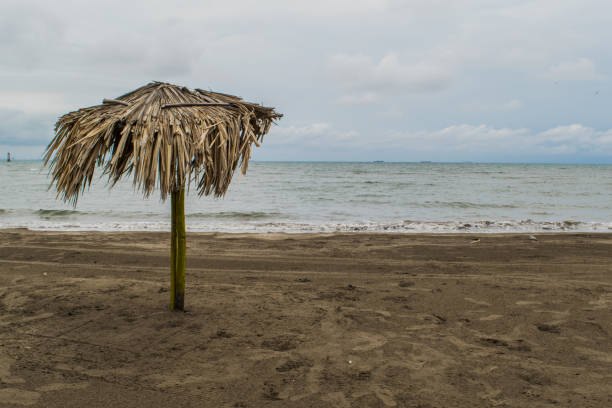 istock palm umbrella in the beach 1190072921