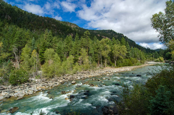 istock Colorado Animas River - Long View 1190083116