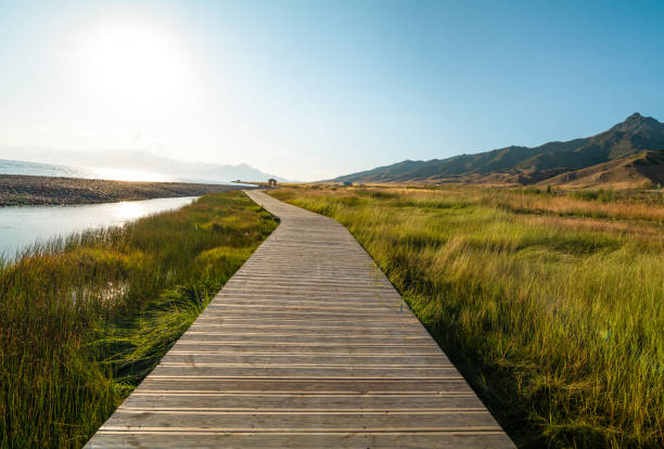 istock Boardwalk in Sayram Lake, Xinjiang 1190083409