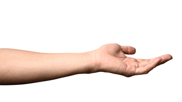 istock Hand open and ready to help or receive. Gesture isolated on white background with clipping path. 1190084178