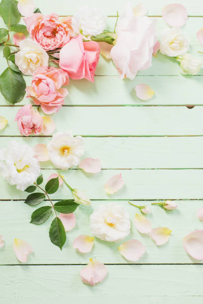 istock pink and white roses on green wooden background 1190086164