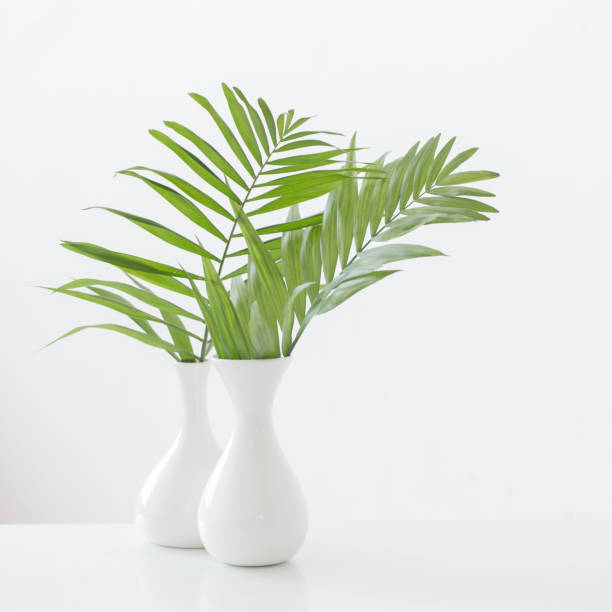 istock white vase with palm leaves on white background 1190086165