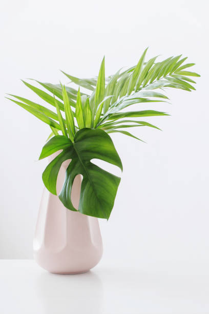istock vase with palm leaves on white background 1190086167