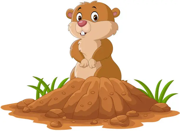Vector illustration of Cartoon funny groundhog standing outside its burrow