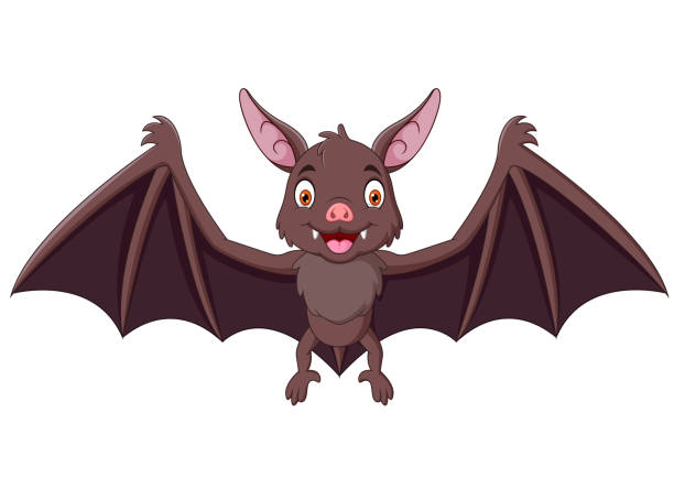 Cartoon Cute Small Bat Flying Stock Illustration - Download Image Now -  Animal, Animal Wildlife, Animal Wing - iStock