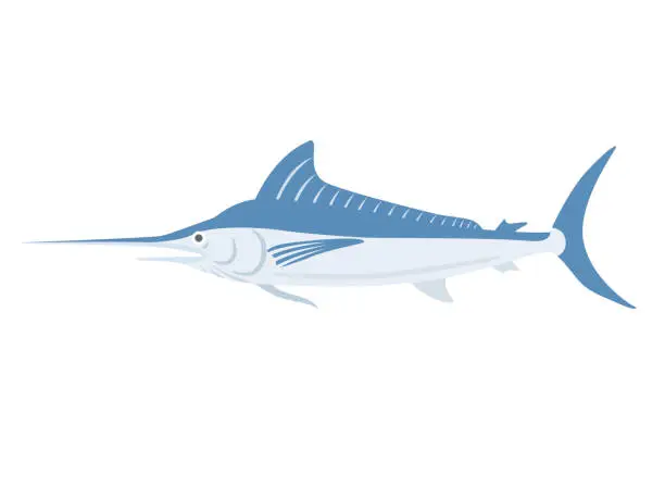Vector illustration of Swordfish