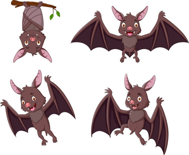 ilustrações de stock, clip art, desenhos animados e ícones de helloween cartoon bat collection set - bat cartoon halloween wing