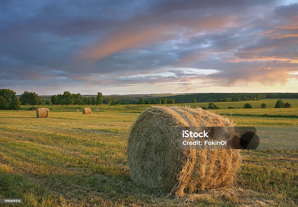 Hay rollos y espectacular puesta de sol - Foto de stock de Agricultura libre de derechos