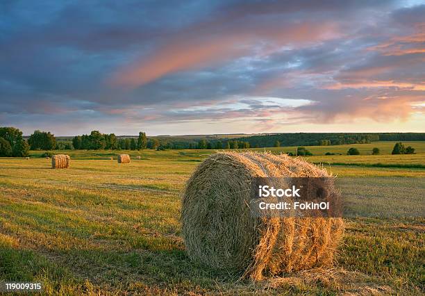 Hay Rollos Y Espectacular Puesta De Sol Foto de stock y más banco de imágenes de Agricultura - Agricultura, Aire libre, Ajardinado