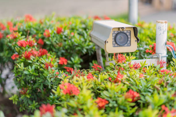 Security CCTV camera and urban video at public park