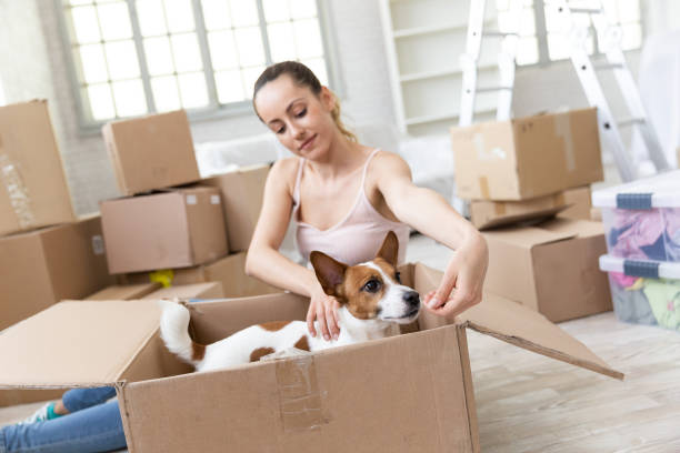 istock Smiling woman with dog in cardboard box 1190100567