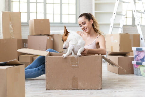 istock Smiling woman with dog in cardboard box 1190100569