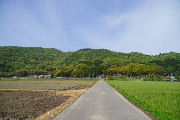 istock travel in Japan 1190104591
