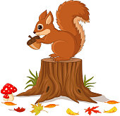 Vector illustration of Cartoon funny squirrel holding pine cone on tree stump