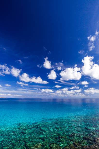 istock Sea with clear turquoise water and blue sky with clouds on a clear day, vertical frame. 1190106709