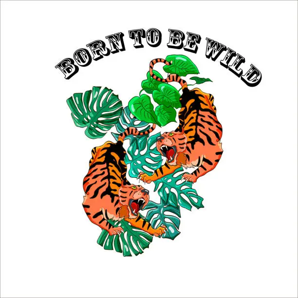 Vector illustration of Two angry tigers in the jungle and the inscription BORN TO BE WILD. Tattoo artwork in old vintage style. Vector illustration for badges, print for t-shirt.