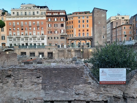 Rome, Lazio, Italy - October 23, 2019: Colony for cats in the archaeological area at Largo di Torre Argentina