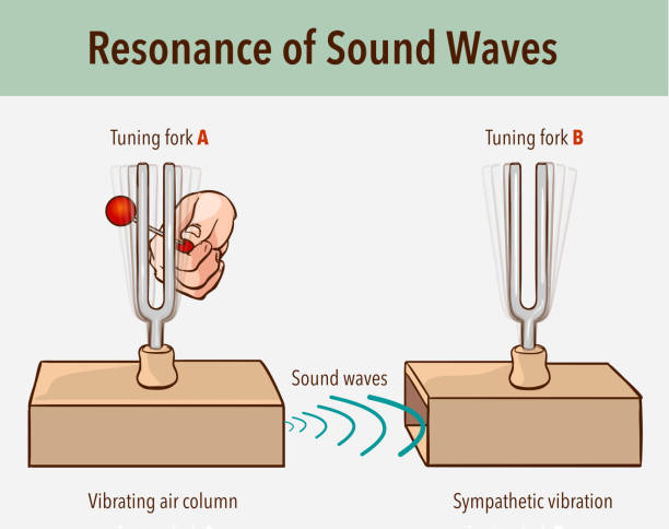 ilustrações de stock, clip art, desenhos animados e ícones de tuning fork resonance experiment. when one tuning fork is struck, the other tuning fork of the same frequency will also vibrate in resonance - wooden pattern audio