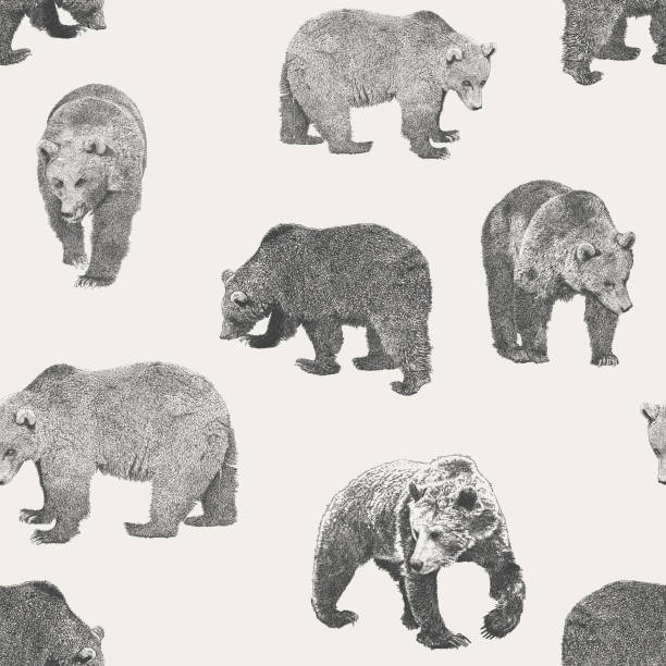 медведь бесшовные повторите шаблон - медведь иллюстрации stock illustrations