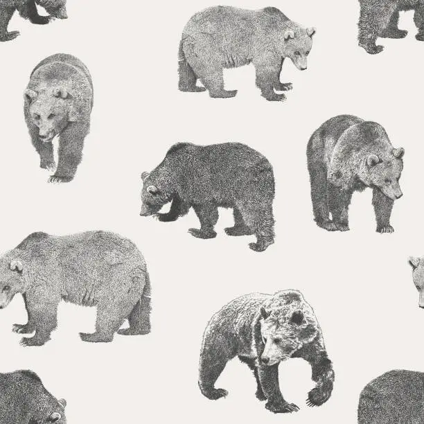 Vector illustration of Bear Seamless Repeat Pattern