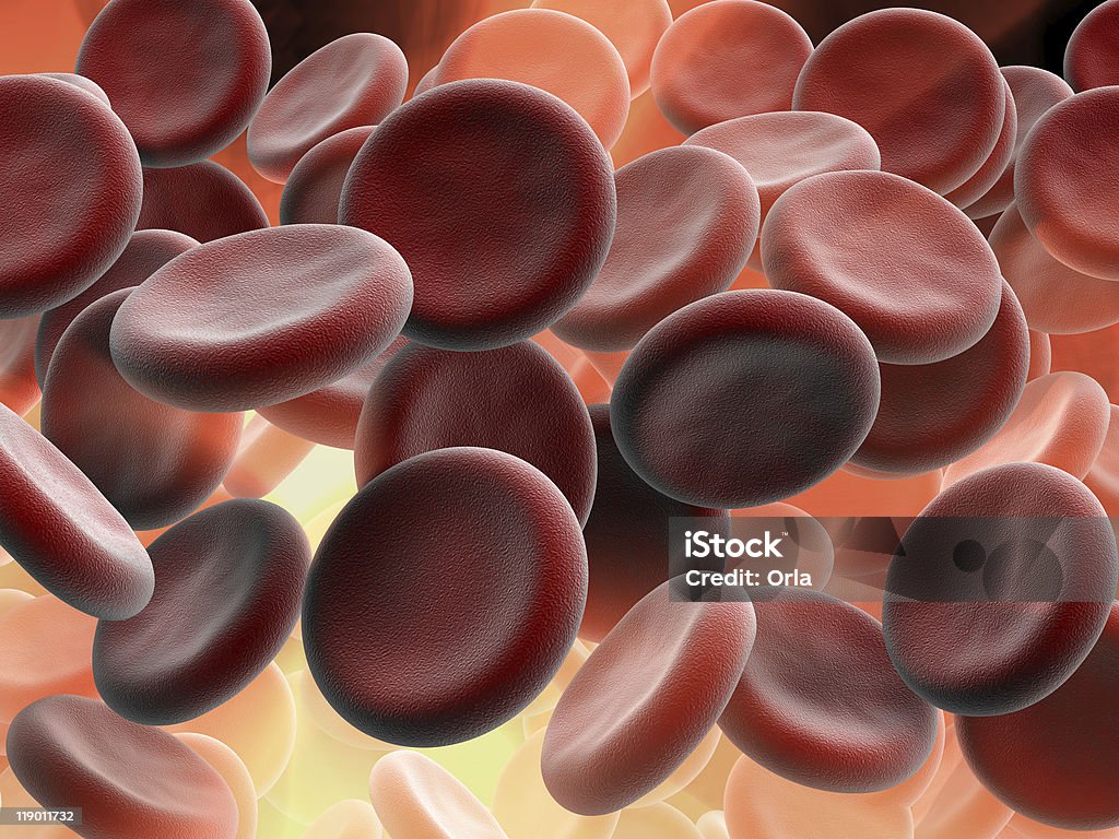 Las células sanguíneas - Foto de stock de Biología libre de derechos